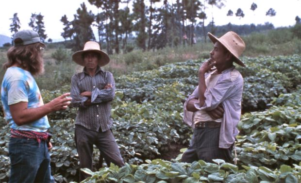 Daryl with farmers in soy field