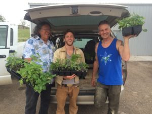 Milo, Alex and Robert with plants to be distributed to gardeners.